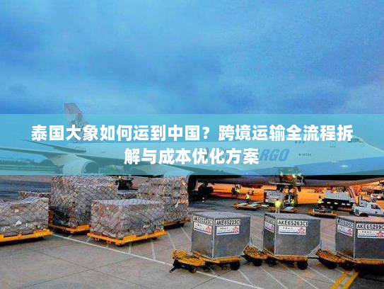 泰国大象如何运到中国?跨境运输全流程拆解与成本优化方案 泰国大象如何运到中国?跨境运输全流程拆解与成本优化方案