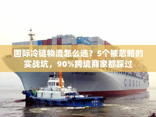 国际冷链物流怎么选？5个被忽略的实战坑，90%跨境商家都踩过
