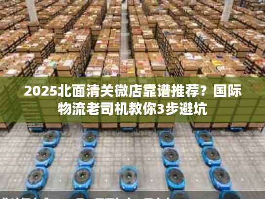 2025北面清关微店靠谱推荐？国际物流老司机教你3步避坑