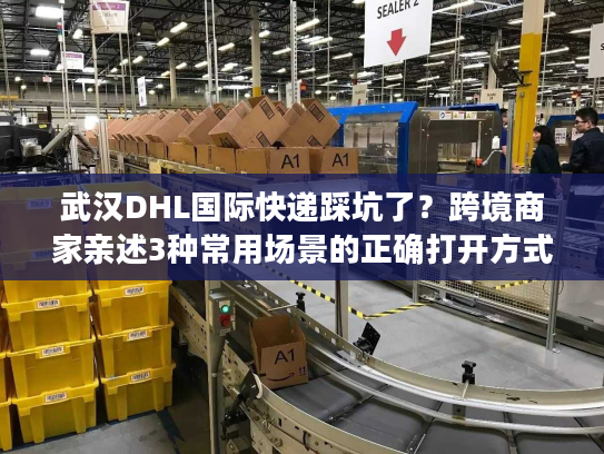 武汉DHL国际快递踩坑了？跨境商家亲述3种常用场景的正确打开方式
