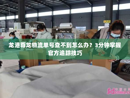 龙港尊龙物流单号查不到怎么办?3分钟掌握官方追踪技巧 龙港尊龙物流单号查不到怎么办?3分钟掌握官方追踪技巧