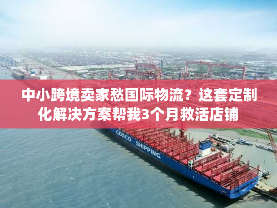 中小跨境卖家愁国际物流?这套定制化解决方案帮我3个月救活店铺 中小跨境卖家愁国际物流?这套定制化解决方案帮我3个月救活店铺