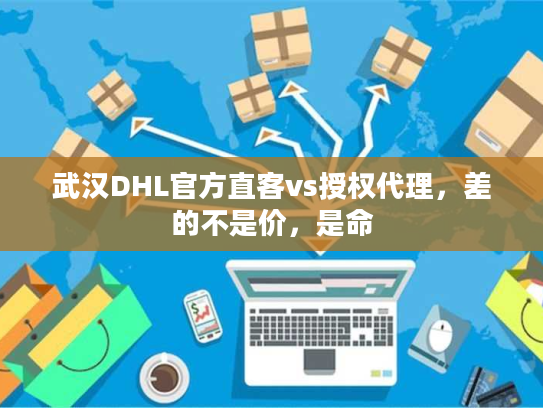 武汉DHL官方直客vs授权代理，差的不是价，是命