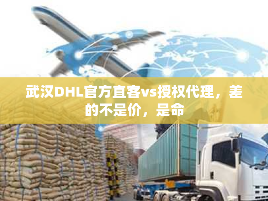 武汉DHL官方直客vs授权代理，差的不是价，是命
