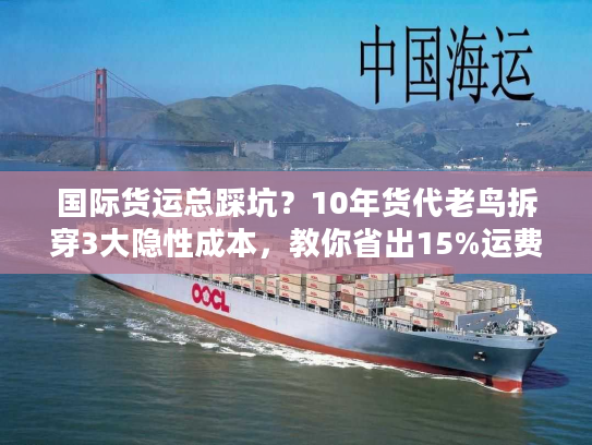 国际货运总踩坑?10年货代老鸟拆穿3大隐性成本,教你省出15%运费 国际货运总踩坑?10年货代老鸟拆穿3大隐性成本,教你省出15%运费