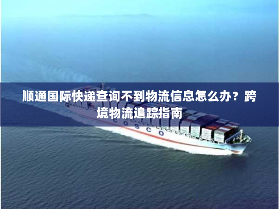顺通国际快递查询不到物流信息怎么办?跨境物流追踪指南 顺通国际快递查询不到物流信息怎么办?跨境物流追踪指南