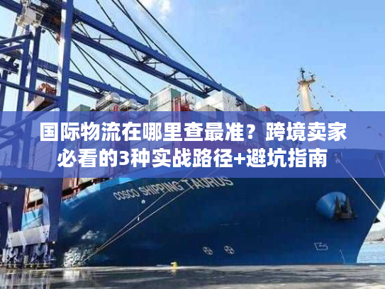 国际物流在哪里查最准？跨境卖家必看的3种实战路径+避坑指南