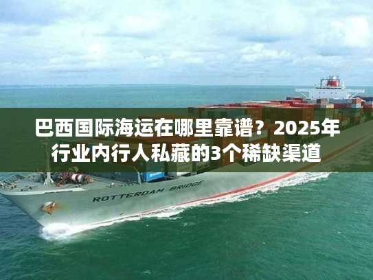 巴西国际海运在哪里靠谱？2025年行业内行人私藏的3个稀缺渠道
