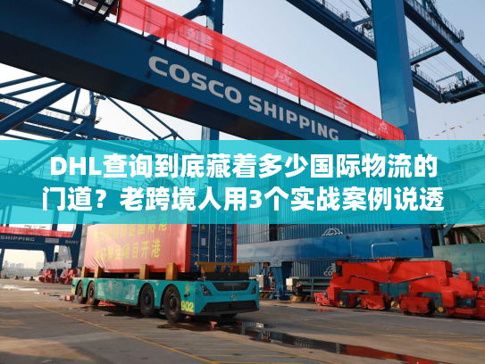 DHL查询到底藏着多少国际物流的门道？老跨境人用3个实战案例说透