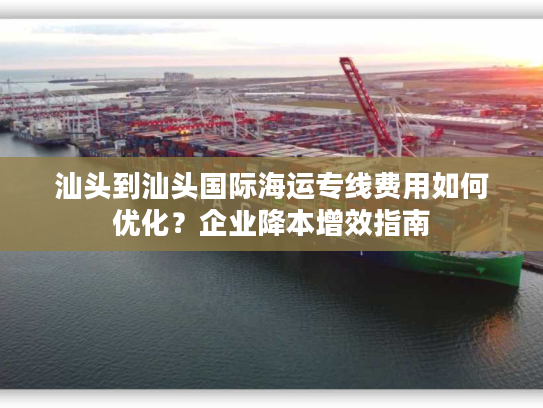 汕头到汕头国际海运专线费用如何优化？企业降本增效指南