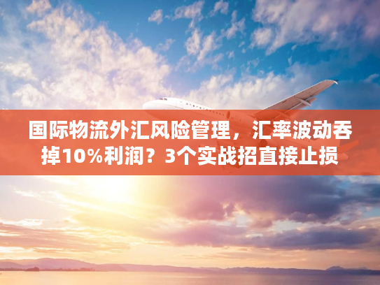 国际物流外汇风险管理,汇率波动吞掉10%利润?3个实战招直接止损 国际物流外汇风险管理,汇率波动吞掉10%利润?3个实战招直接止损