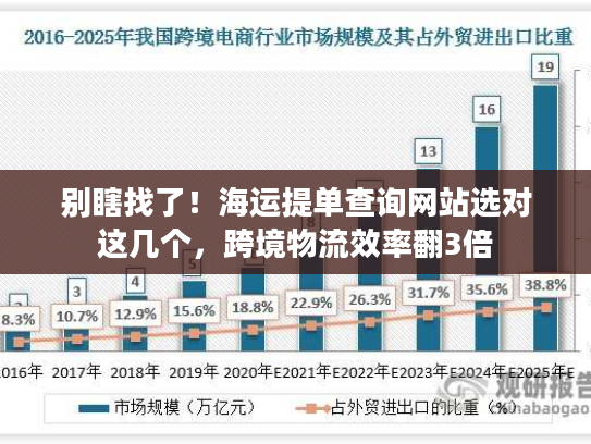 别瞎找了！海运提单查询网站选对这几个，跨境物流效率翻3倍