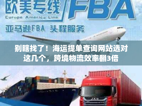 别瞎找了！海运提单查询网站选对这几个，跨境物流效率翻3倍