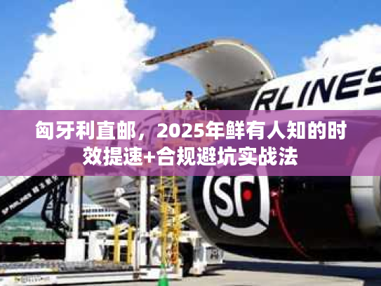 匈牙利直邮，2025年鲜有人知的时效提速+合规避坑实战法