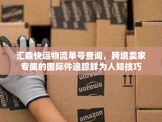 汇森快运物流单号查询，跨境卖家专属的国际件追踪鲜为人知技巧
