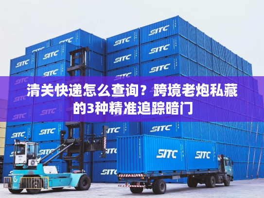 清关快递怎么查询?跨境老炮私藏的3种精准追踪暗门 清关快递怎么查询?跨境老炮私藏的3种精准追踪暗门