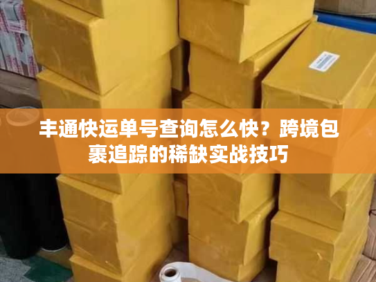 丰通快运单号查询怎么快？跨境包裹追踪的稀缺实战技巧