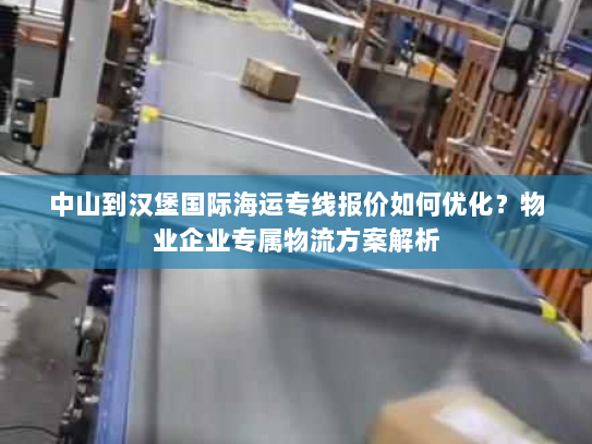 中山到汉堡国际海运专线报价如何优化？物业企业专属物流方案解析