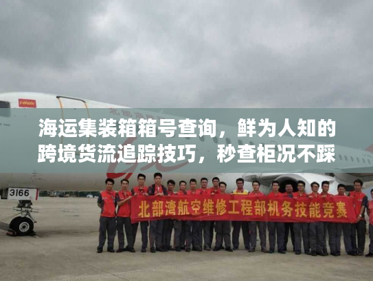 海运集装箱箱号查询，鲜为人知的跨境货流追踪技巧，秒查柜况不踩坑