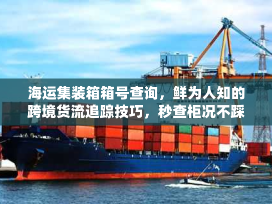 海运集装箱箱号查询，鲜为人知的跨境货流追踪技巧，秒查柜况不踩坑