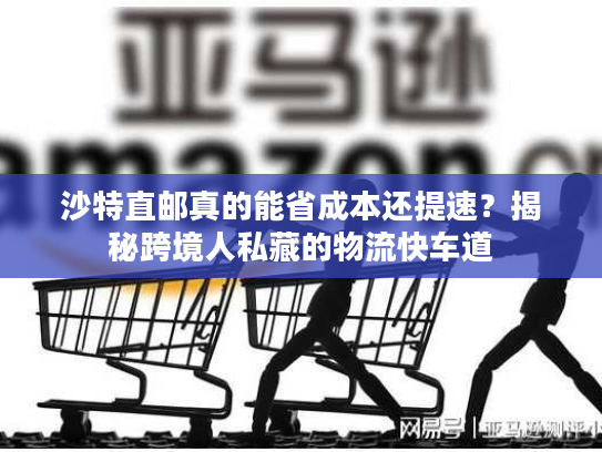 沙特直邮真的能省成本还提速？揭秘跨境人私藏的物流快车道