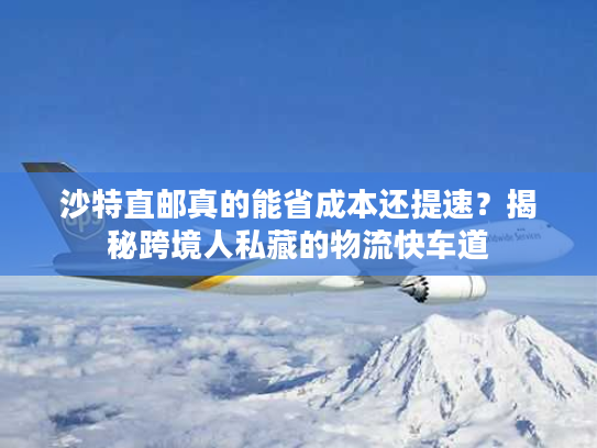 沙特直邮真的能省成本还提速？揭秘跨境人私藏的物流快车道