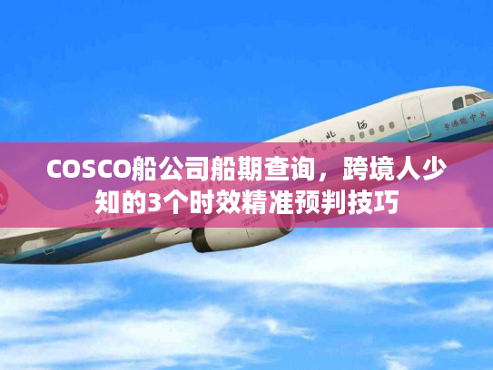 COSCO船公司船期查询，跨境人少知的3个时效精准预判技巧