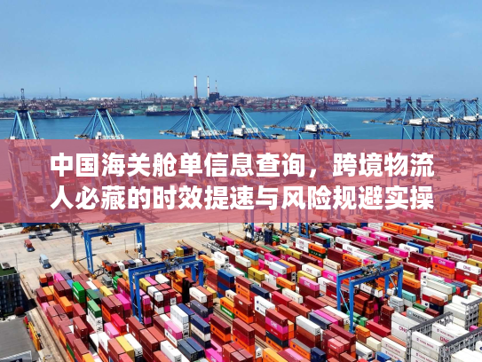 中国海关舱单信息查询，跨境物流人必藏的时效提速与风险规避实操技巧