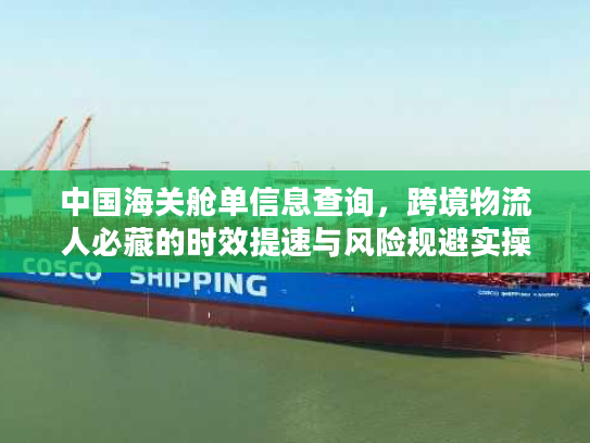 中国海关舱单信息查询，跨境物流人必藏的时效提速与风险规避实操技巧