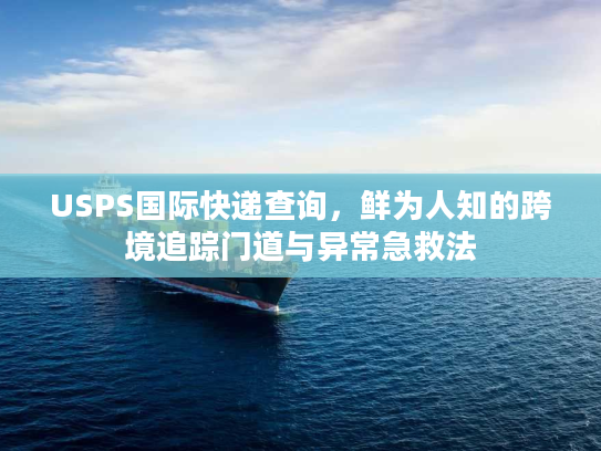 USPS国际快递查询，鲜为人知的跨境追踪门道与异常急救法