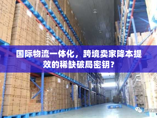 国际物流一体化,跨境卖家降本提效的稀缺破局密钥? 国际物流一体化,跨境卖家降本提效的稀缺破局密钥?