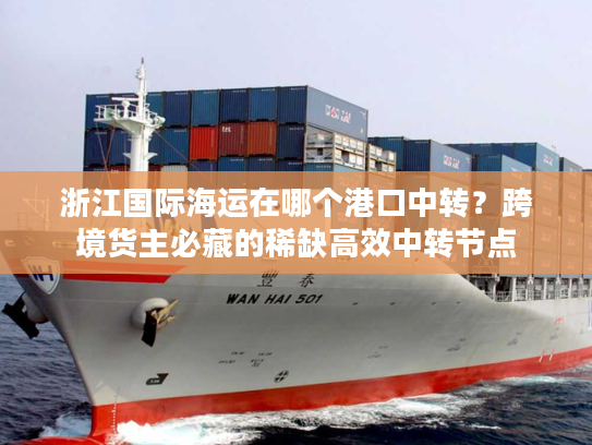 浙江国际海运在哪个港口中转？跨境货主必藏的稀缺高效中转节点