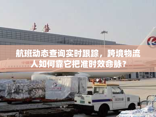 航班动态查询实时跟踪，跨境物流人如何靠它把准时效命脉？