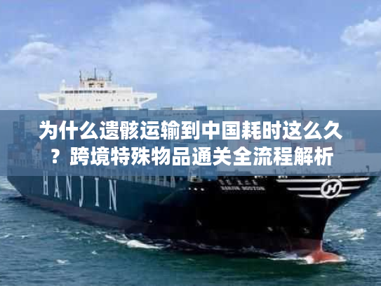 为什么遗骸运输到中国耗时这么久？跨境特殊物品通关全流程解析