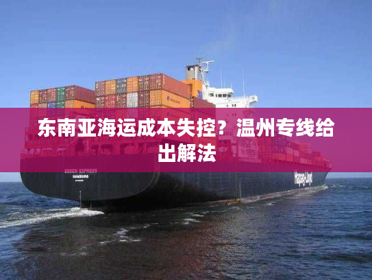 东南亚海运成本失控?温州专线给出解法 东南亚海运成本失控?温州专线给出解法