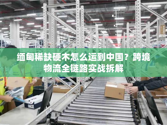 缅甸稀缺硬木怎么运到中国？跨境物流全链路实战拆解