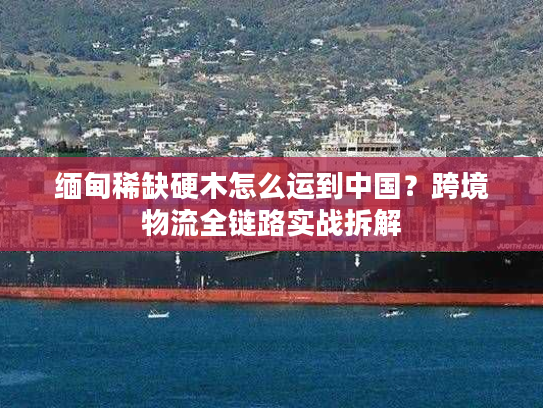 缅甸稀缺硬木怎么运到中国？跨境物流全链路实战拆解