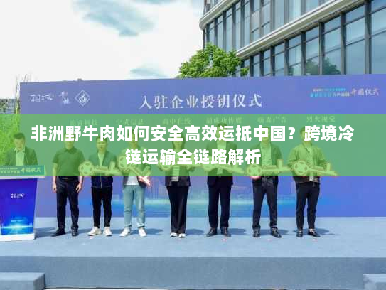 非洲野牛肉如何安全高效运抵中国?跨境冷链运输全链路解析 非洲野牛肉如何安全高效运抵中国?跨境冷链运输全链路解析
