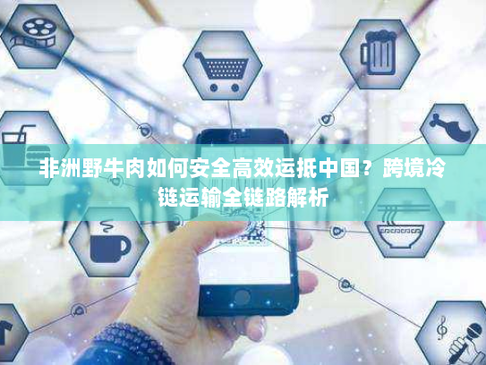 非洲野牛肉如何安全高效运抵中国?跨境冷链运输全链路解析 非洲野牛肉如何安全高效运抵中国?跨境冷链运输全链路解析