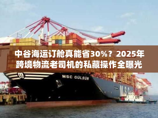 中谷海运订舱真能省30%?2025年跨境物流老司机的私藏操作全曝光 中谷海运订舱真能省30%?2025年跨境物流老司机的私藏操作全曝光