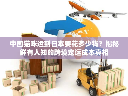 中国猫咪运到日本要花多少钱?揭秘鲜有人知的跨境宠运成本真相 中国猫咪运到日本要花多少钱?揭秘鲜有人知的跨境宠运成本真相
