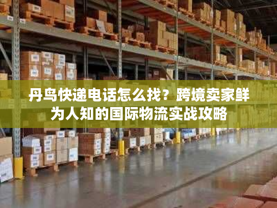 丹鸟快递电话怎么找？跨境卖家鲜为人知的国际物流实战攻略