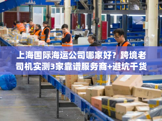 上海国际海运公司哪家好？跨境老司机实测3家靠谱服务商+避坑干货