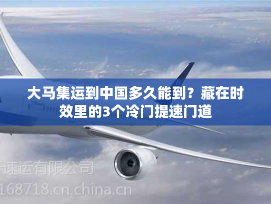 大马集运到中国多久能到？藏在时效里的3个冷门提速门道