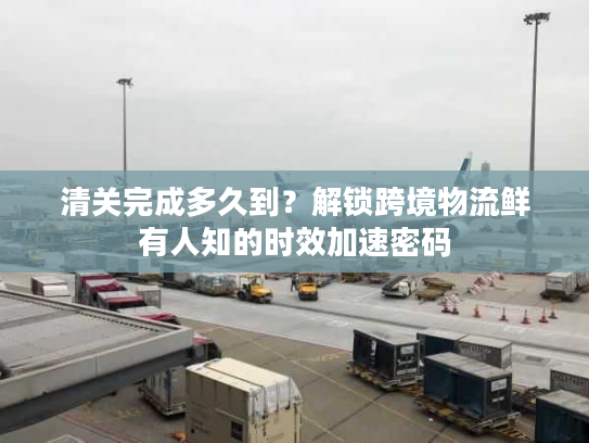清关完成多久到?解锁跨境物流鲜有人知的时效加速密码 清关完成多久到?解锁跨境物流鲜有人知的时效加速密码