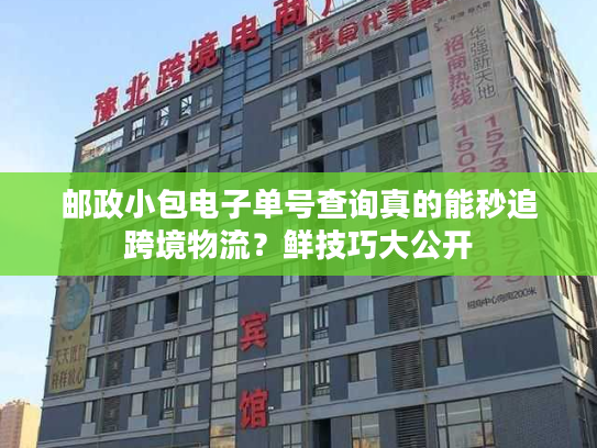 邮政小包电子单号查询真的能秒追跨境物流?鲜技巧大公开 邮政小包电子单号查询真的能秒追跨境物流?鲜技巧大公开