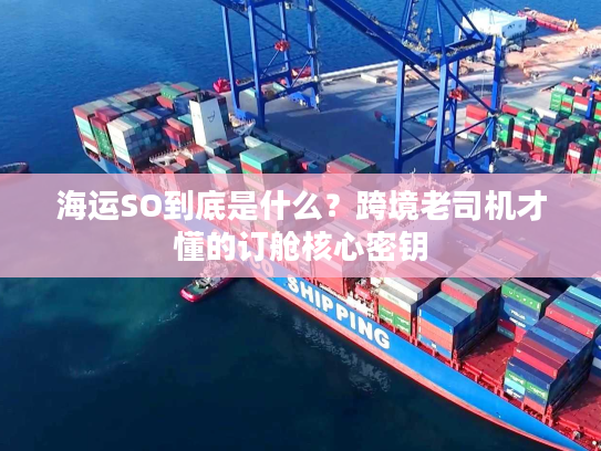 海运SO到底是什么？跨境老司机才懂的订舱核心密钥