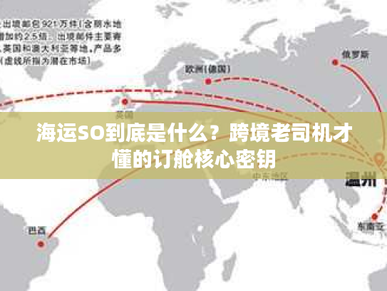 海运SO到底是什么？跨境老司机才懂的订舱核心密钥