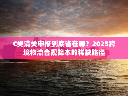 C类清关申报到底省在哪？2025跨境物流合规降本的稀缺路径