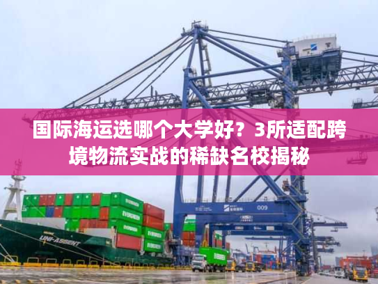 国际海运选哪个大学好?3所适配跨境物流实战的稀缺名校揭秘 国际海运选哪个大学好?3所适配跨境物流实战的稀缺名校揭秘